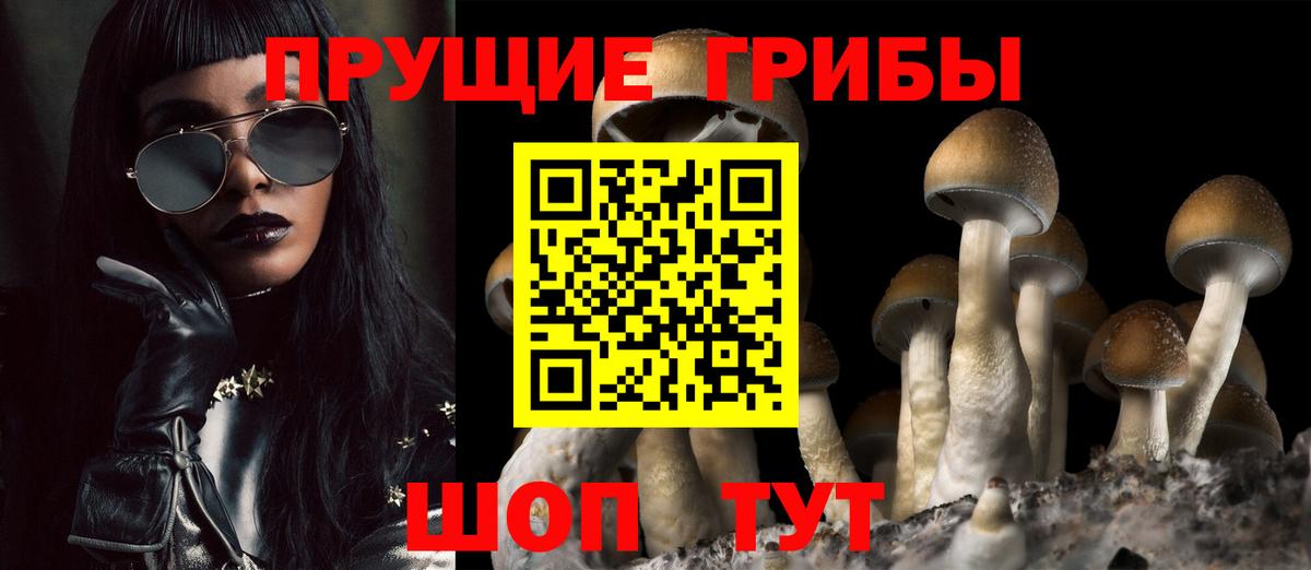 Псилоцибиновые грибы MAGIC MUSHROOMS  Псилоцибиновые грибы Magic Shrooms  Вход с VPN  Томск 